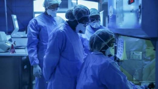 Investigadores Australianos Comprueban que fármaco de Origen en su Lugar  mata al Covid-19 en 48 horas